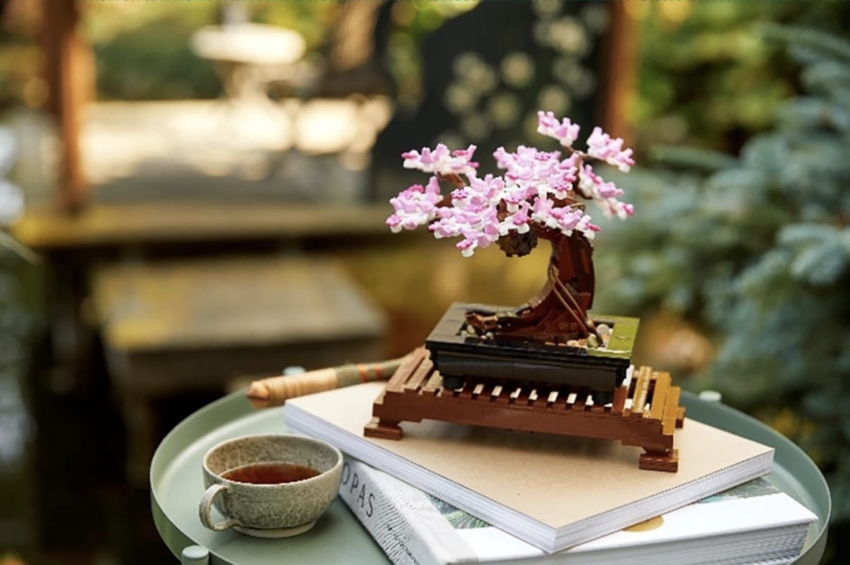 www.minutoneuquen.com legobotanica00