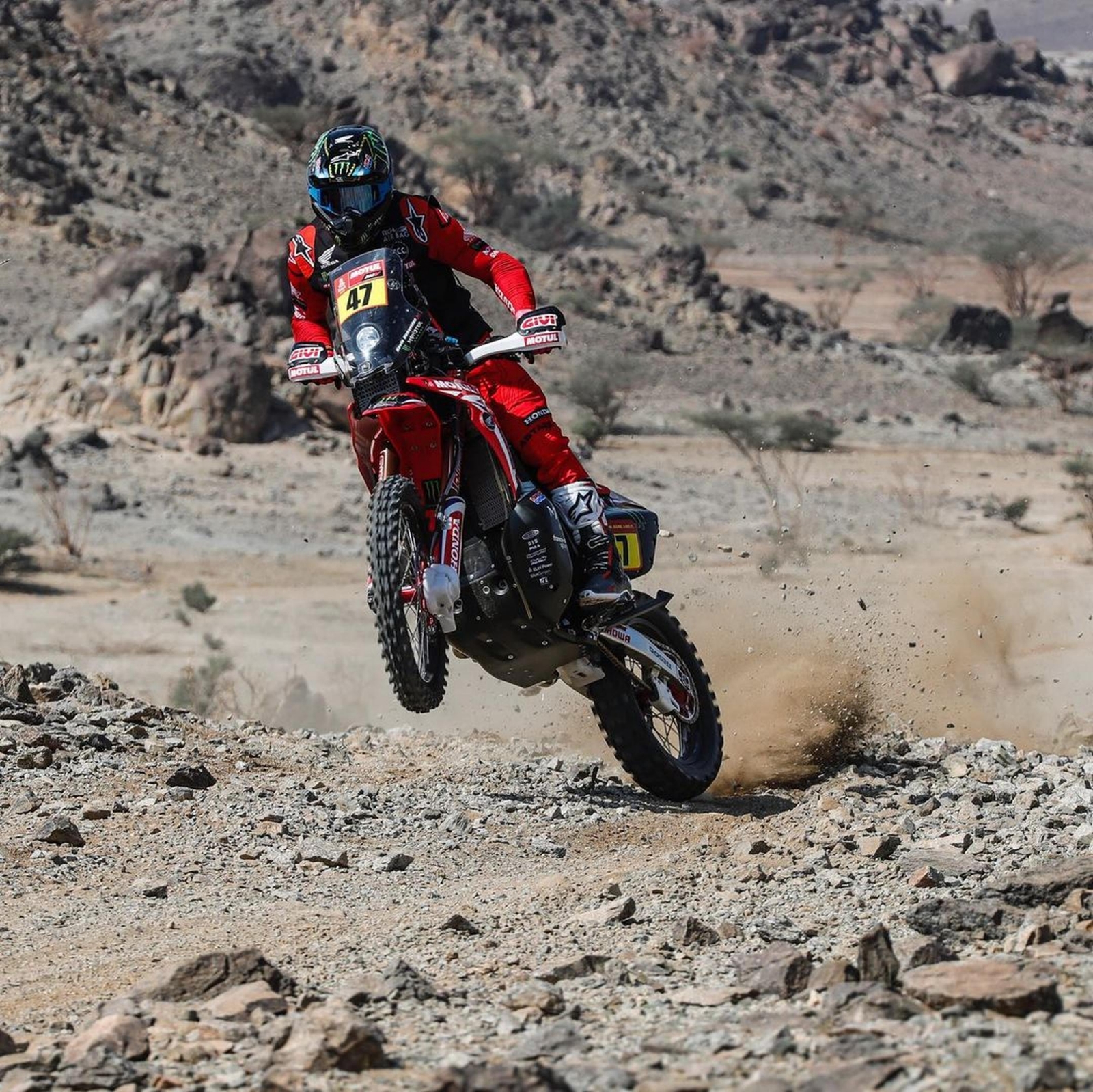 Rally Dakar Benavides