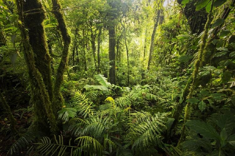 www.minutoneuquen.com costaricaa2
