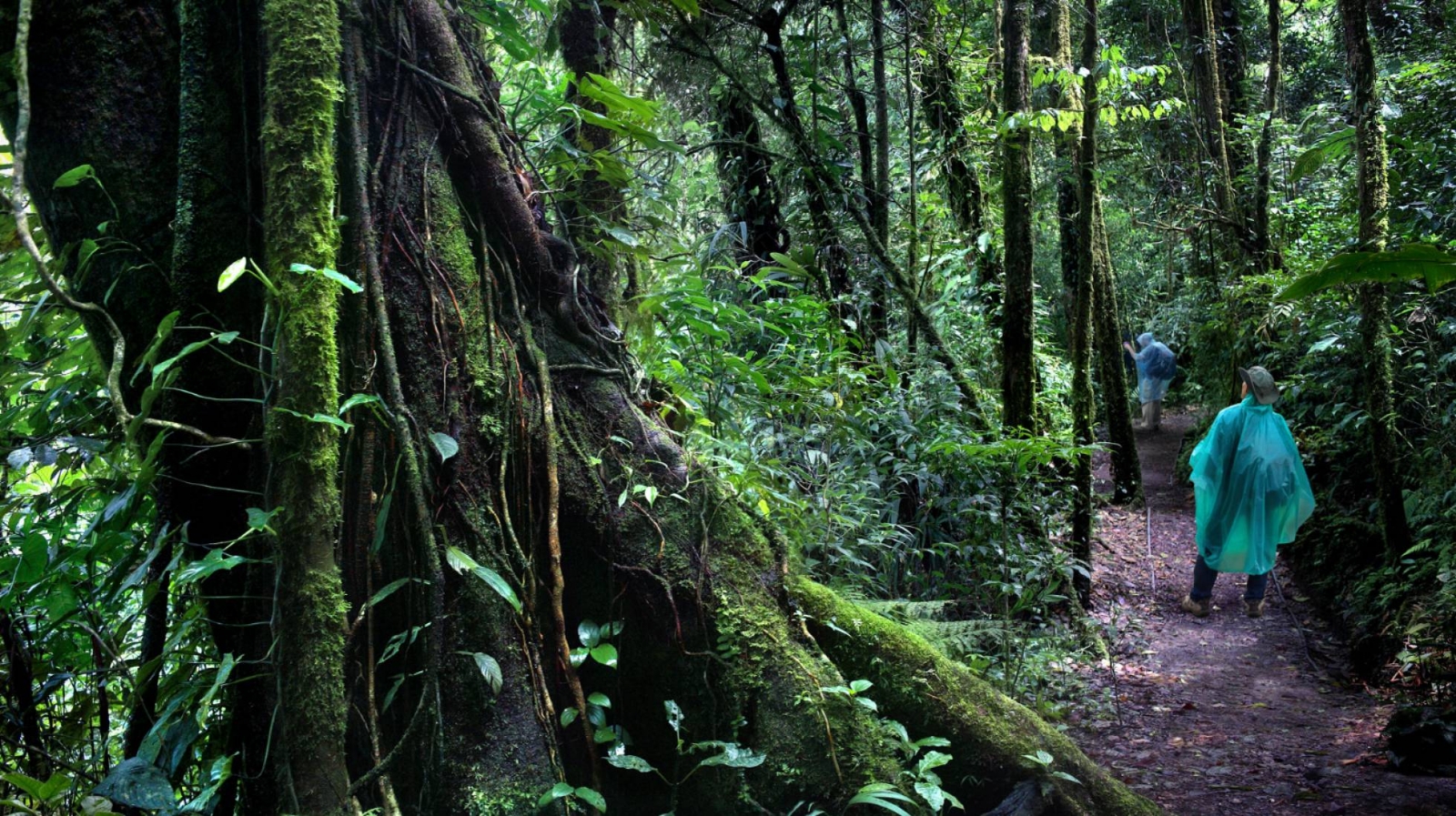 www.minutoneuquen.com costaricaa1