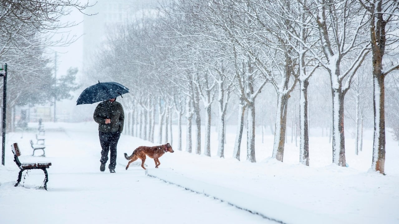 NIEVE MADRID
