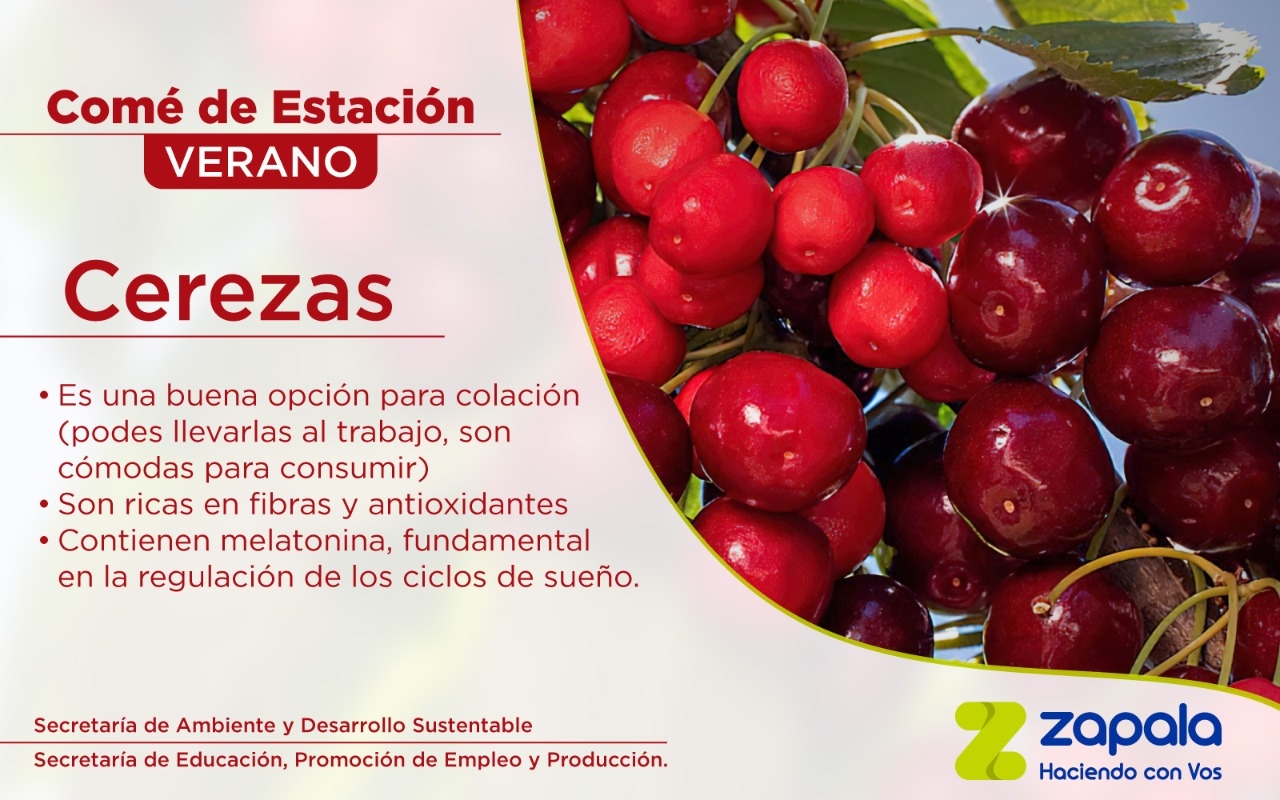 WhatsApp-Image-2021-01-06-at-12.01.23