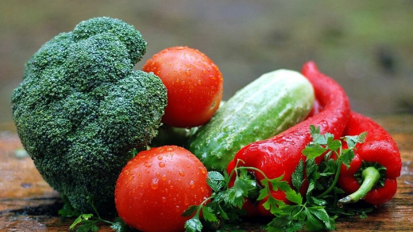 Cocinillas_195242698_116296222_1024x576