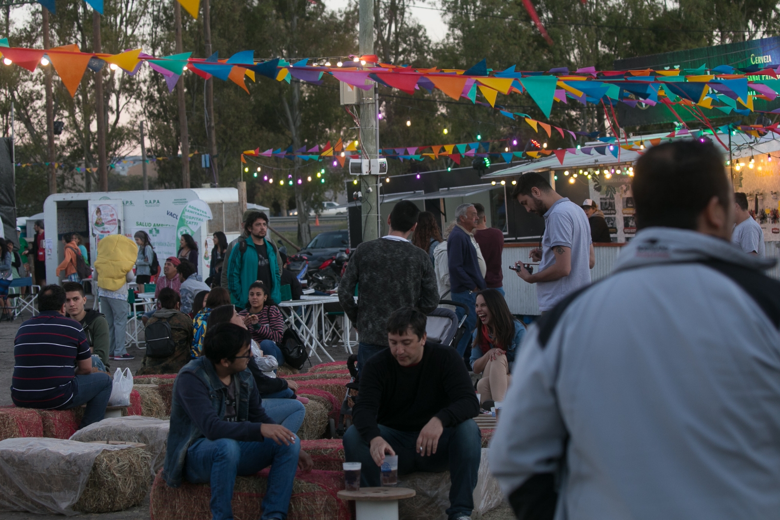 FEST1