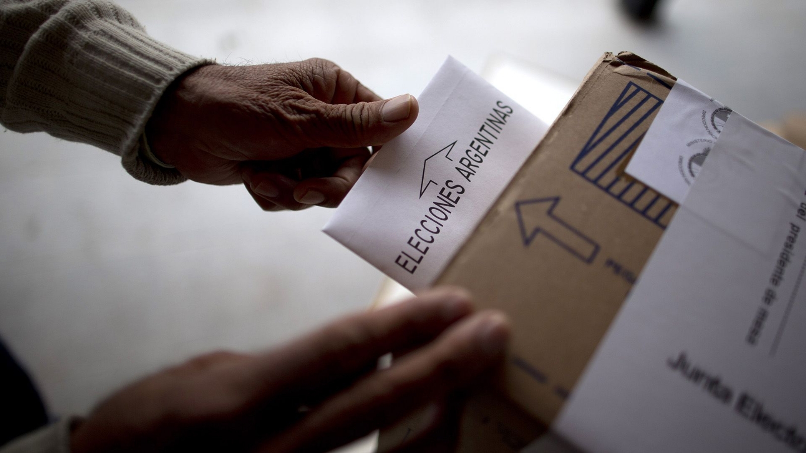 elecciones paso