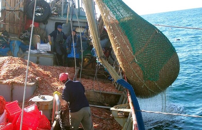 Langostino-700x450