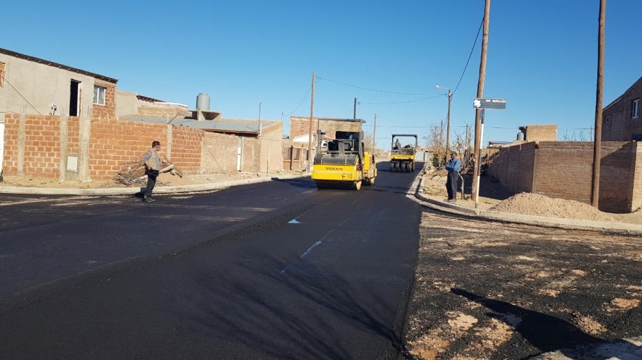 zani