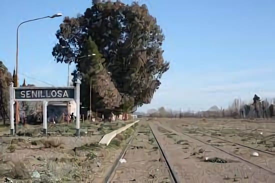 descargar (1)