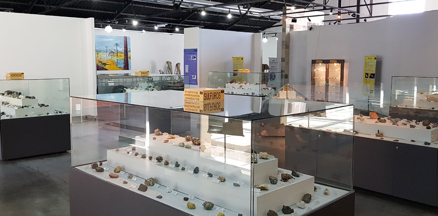 web MUSEO OLSACHER 2 (ARCHIVO)