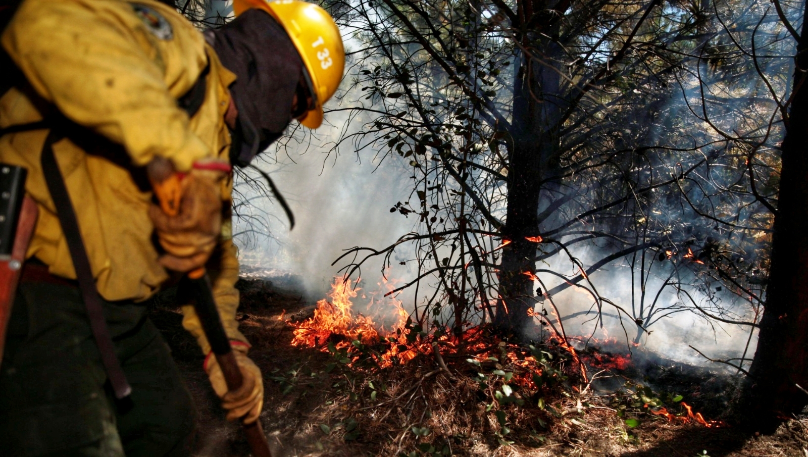 INCENDIOS