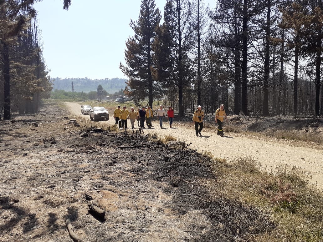 incendios Quillén arribo de brigadistas (1)