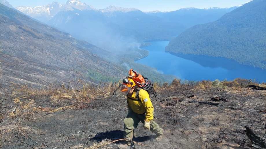 STE