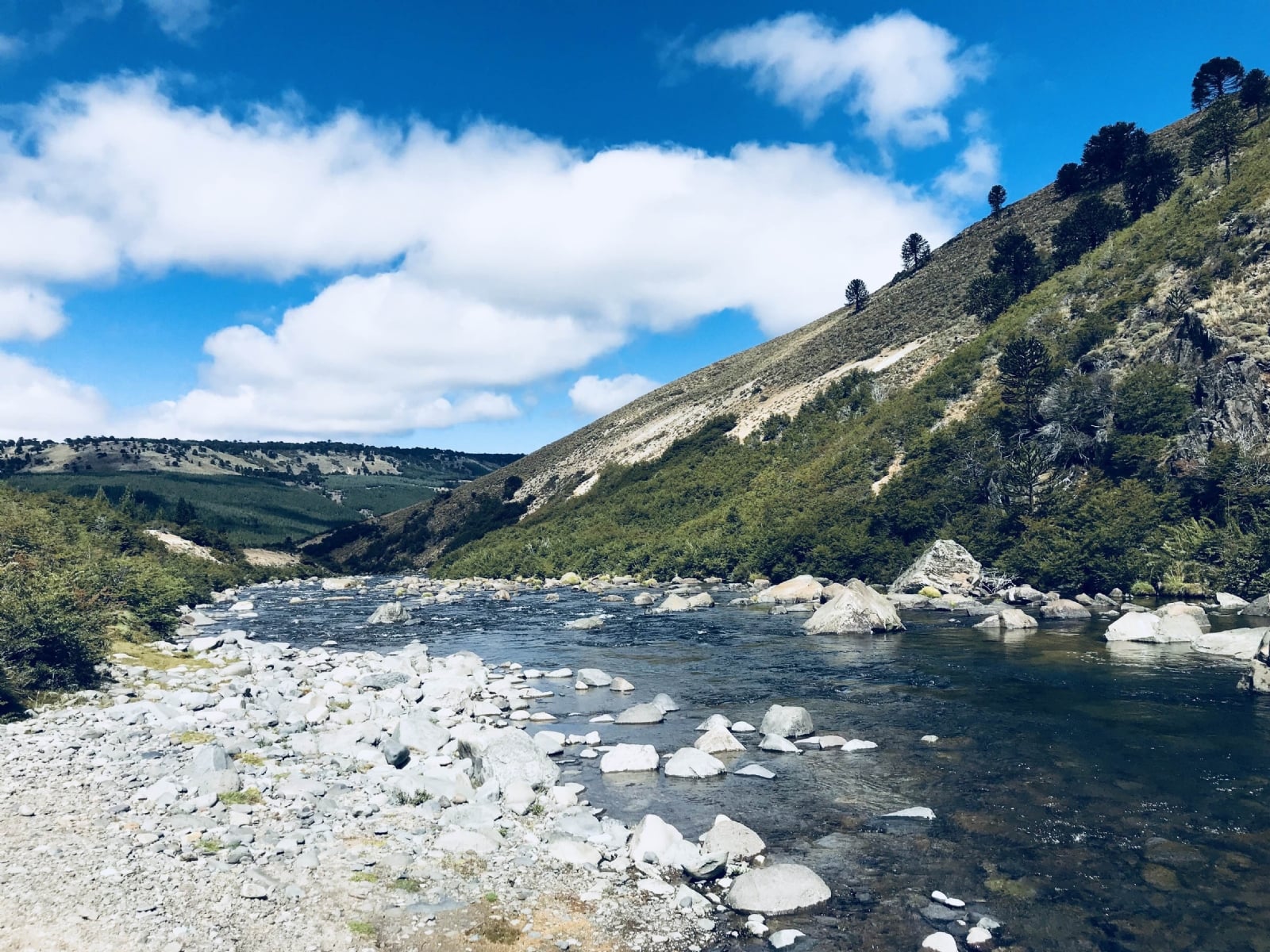 portada 1