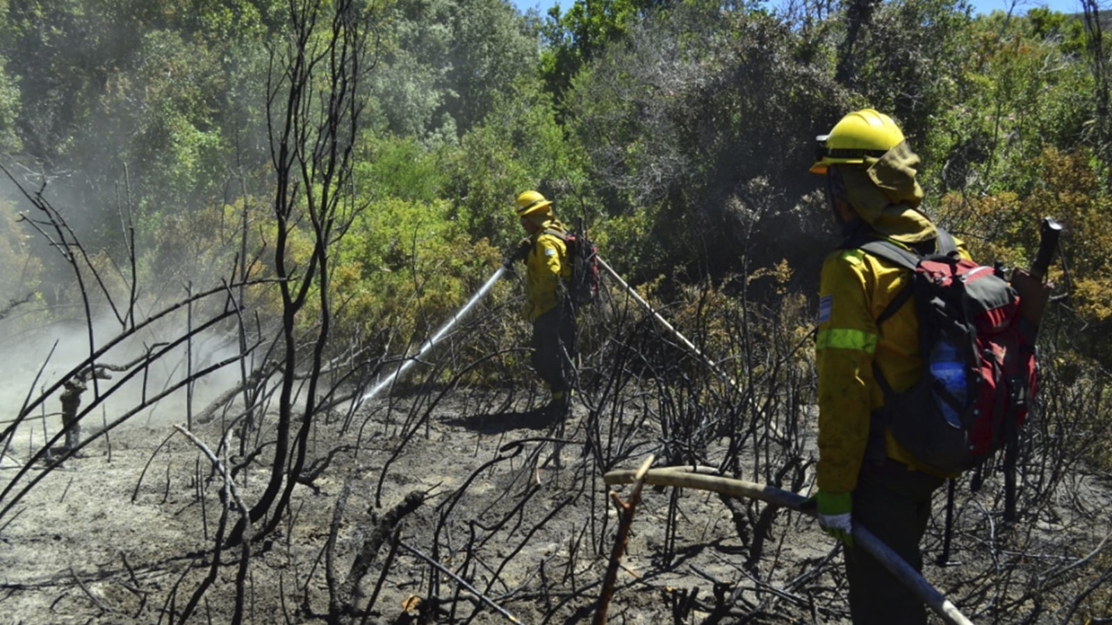contienen_el_incendio_en_el_pn_nahuel_huapi_02