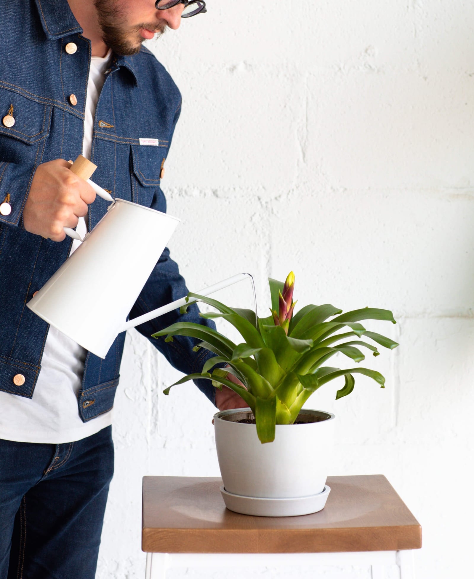bloomscape_product_watering-can_small-3-scaled