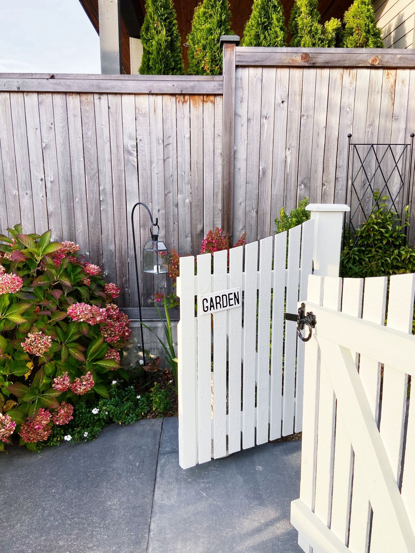 Autumn-Garden-Hydrangeas-Black-and-White-Curved-Gate-The-Inspired-Room-1