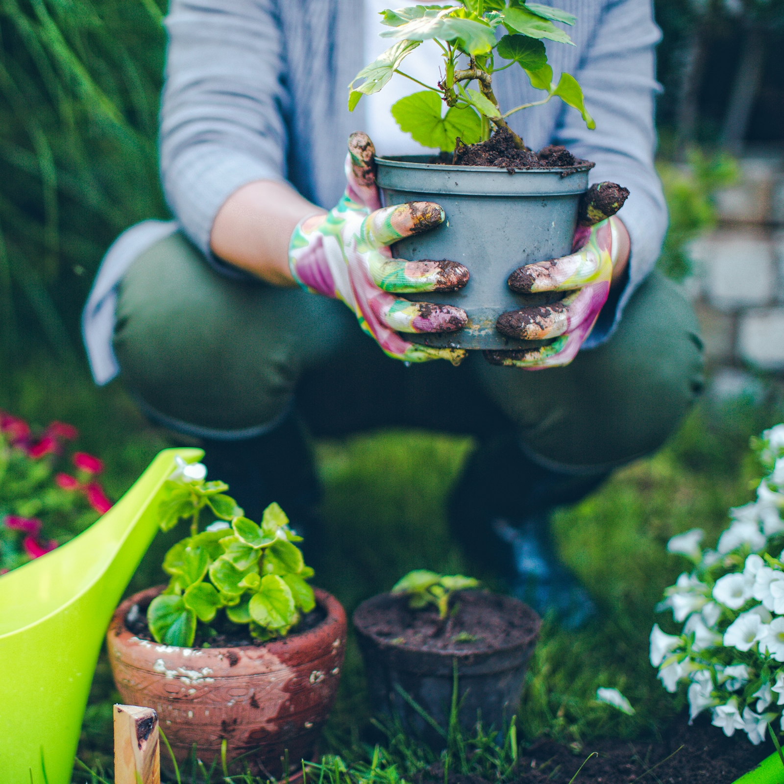 gardening-dirt-garden-today-square-190409_68960215b9d77c4d25edb613949ba869