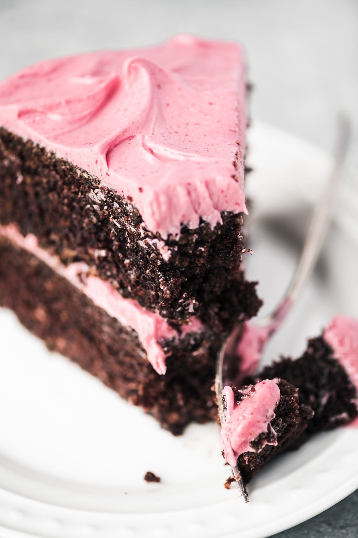 chocolate-cake-with-cranberry-buttercream-8509481-November-15-2019-2