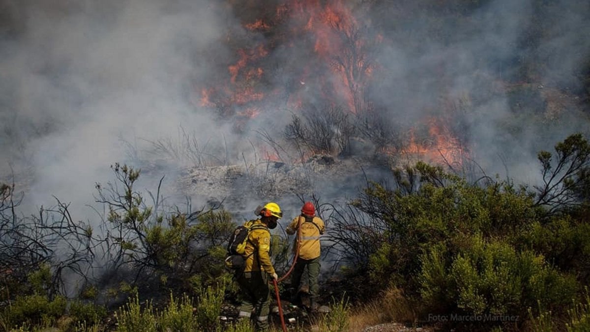 www.minutoneuquen.com incendio en el bolson