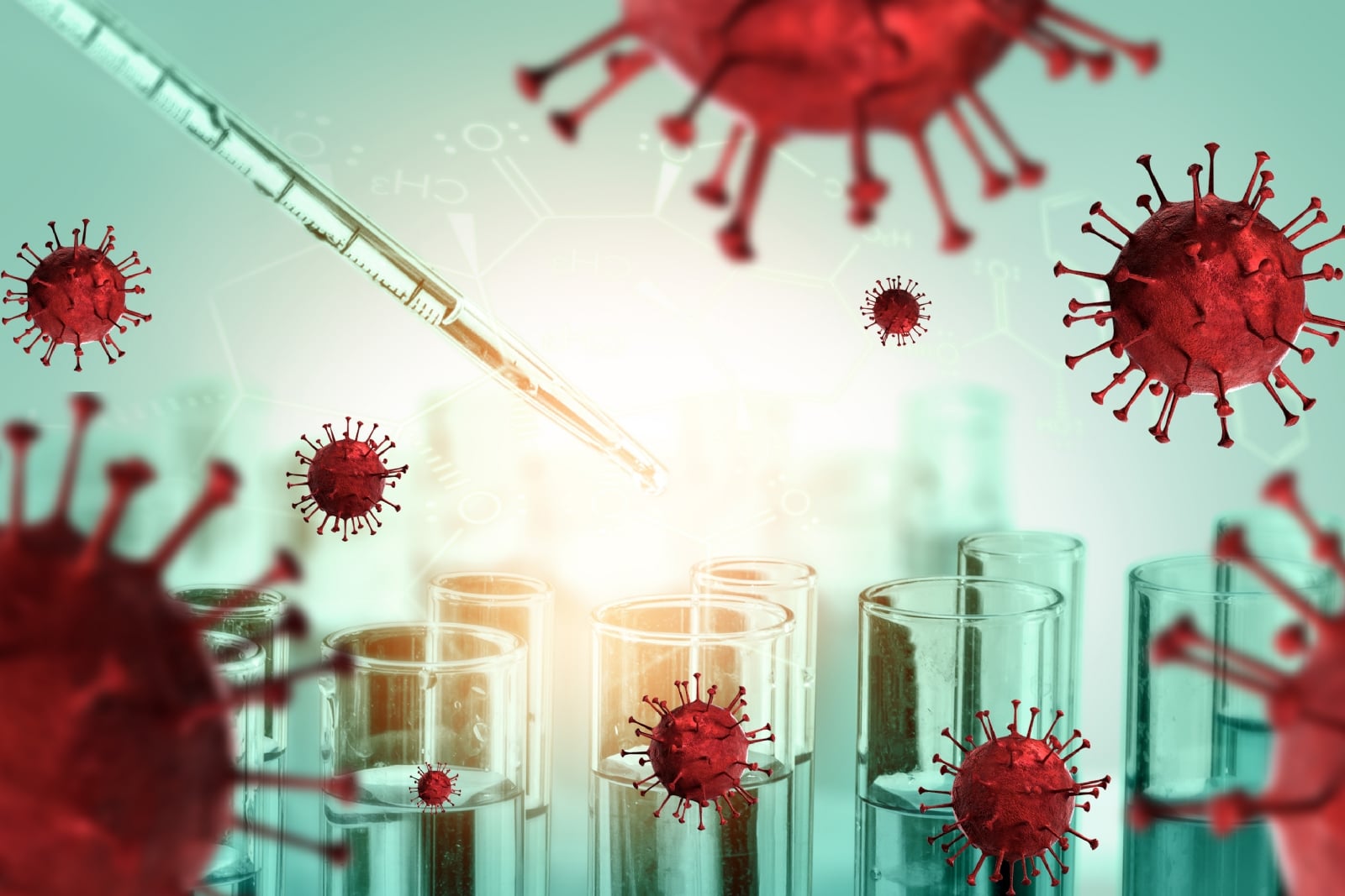 cepa 1