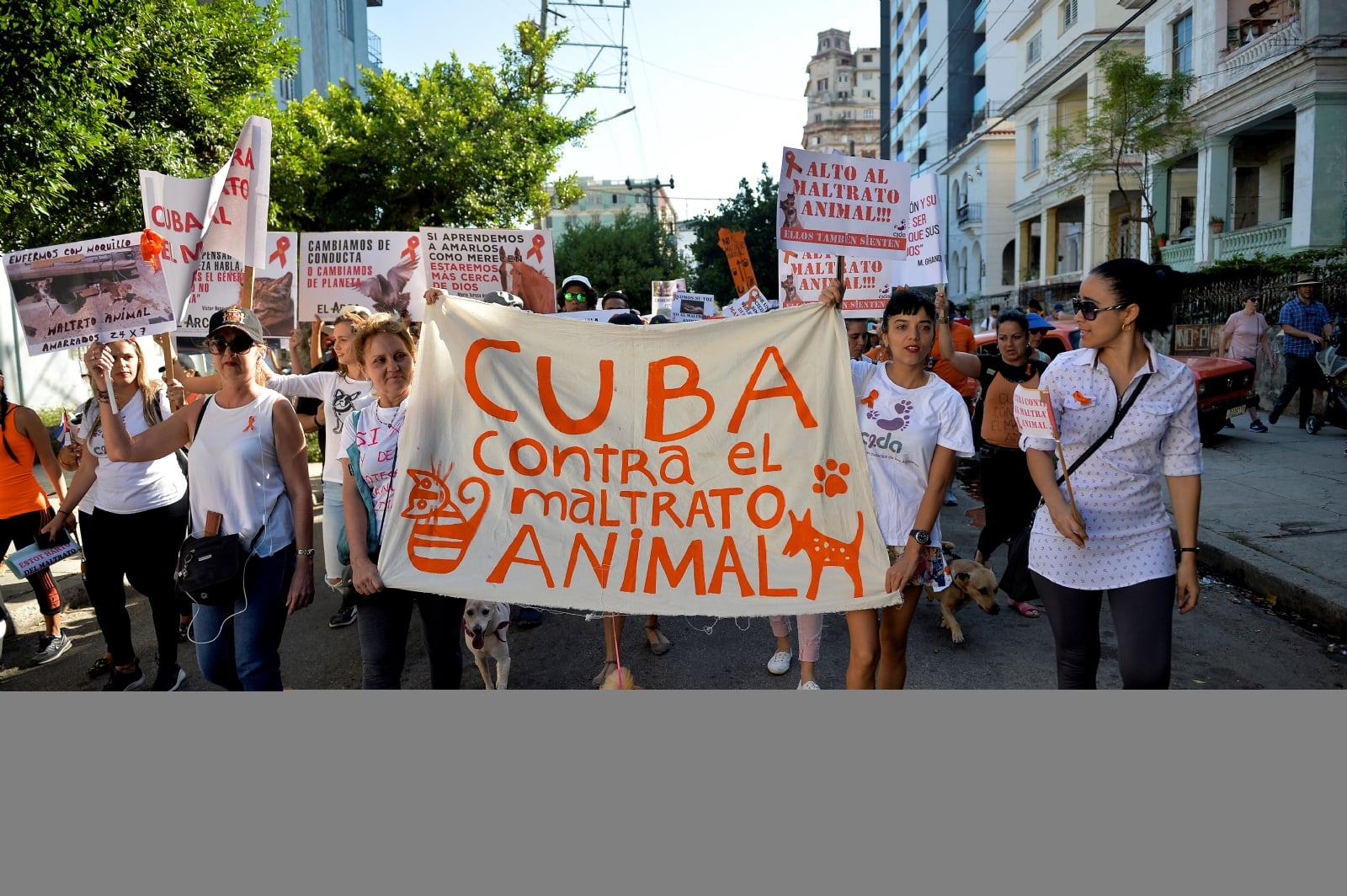 cuba 1