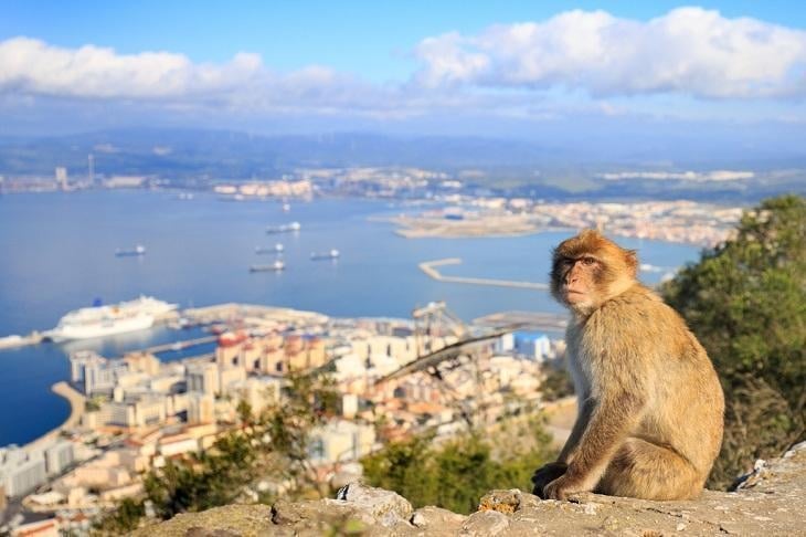 www.minutoneuquen.com gibraltar3