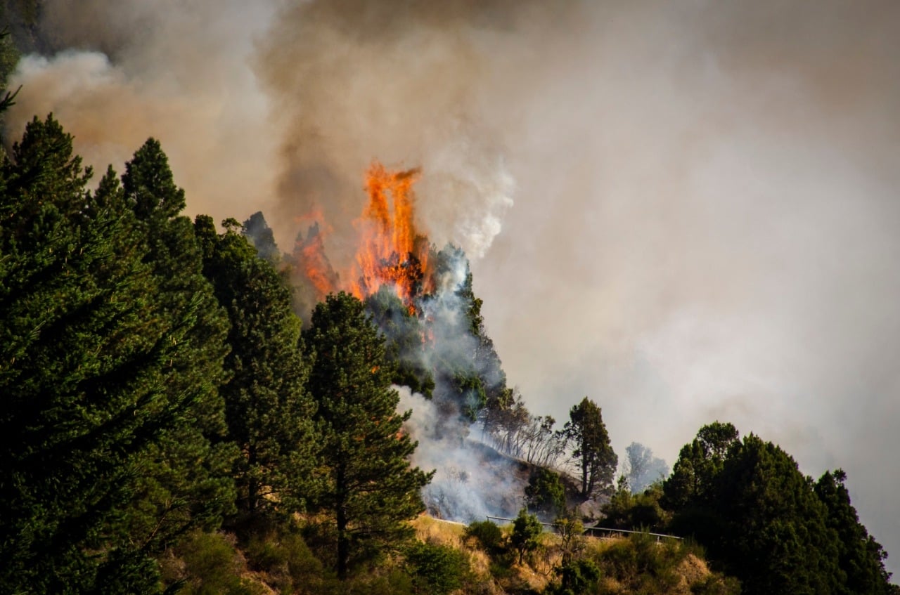 www.minutoneuquen.com incendio sanma 1