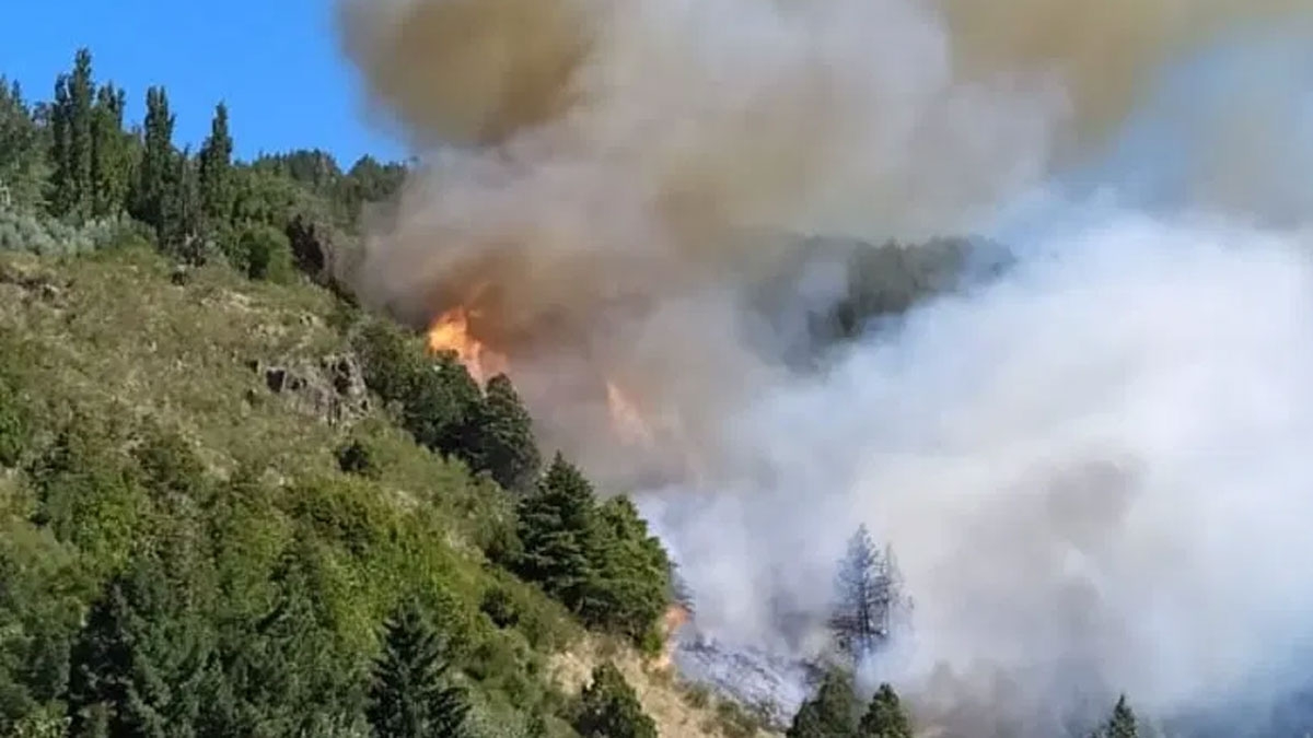 www.minutoneuquen.com incendio sanma