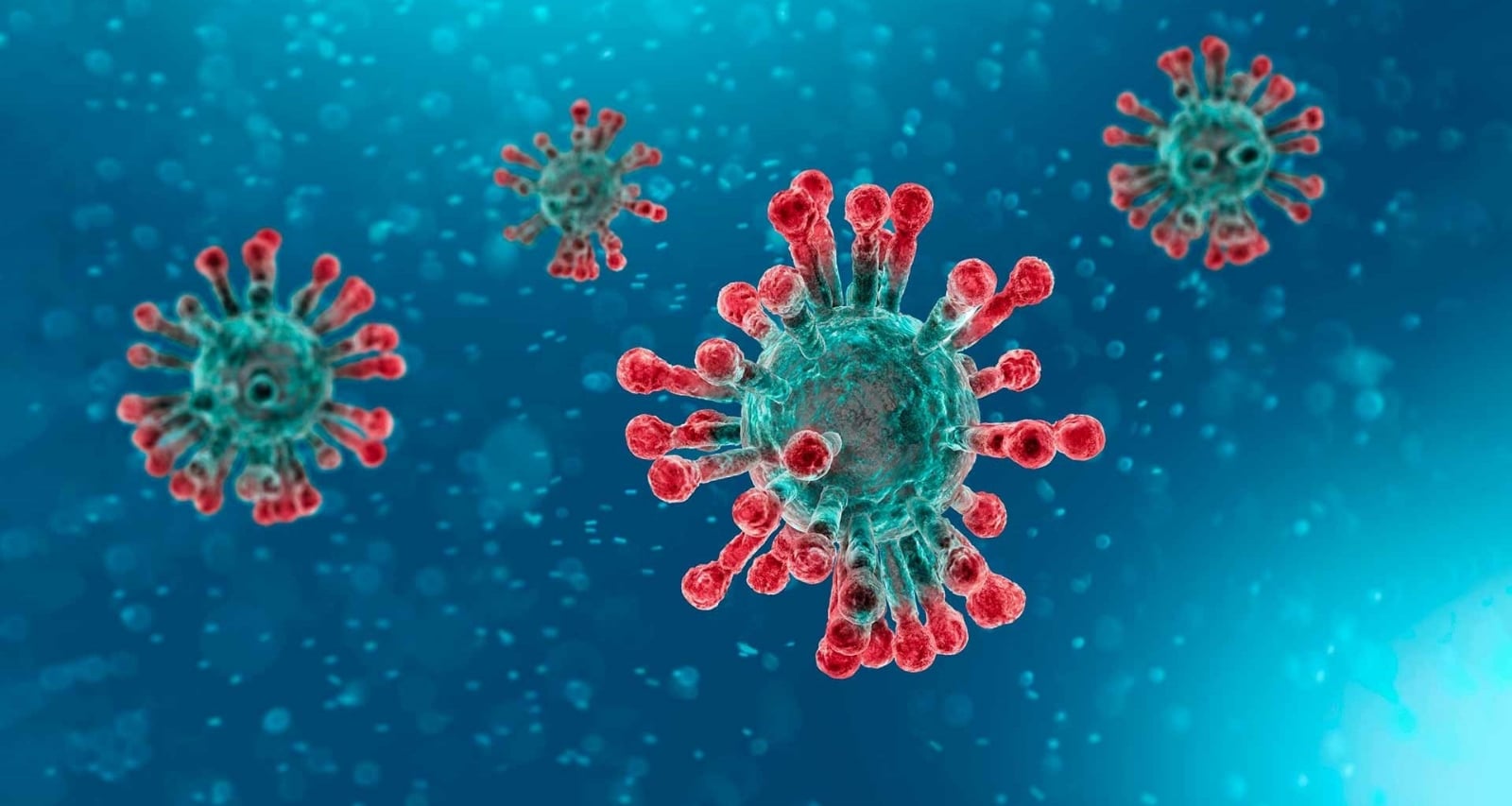 coronavirus2