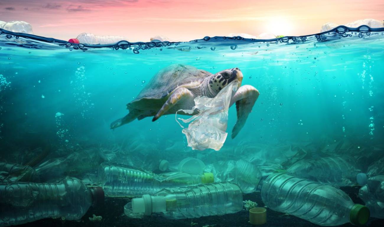 www.minutoneuquen.com contaminacionmares4