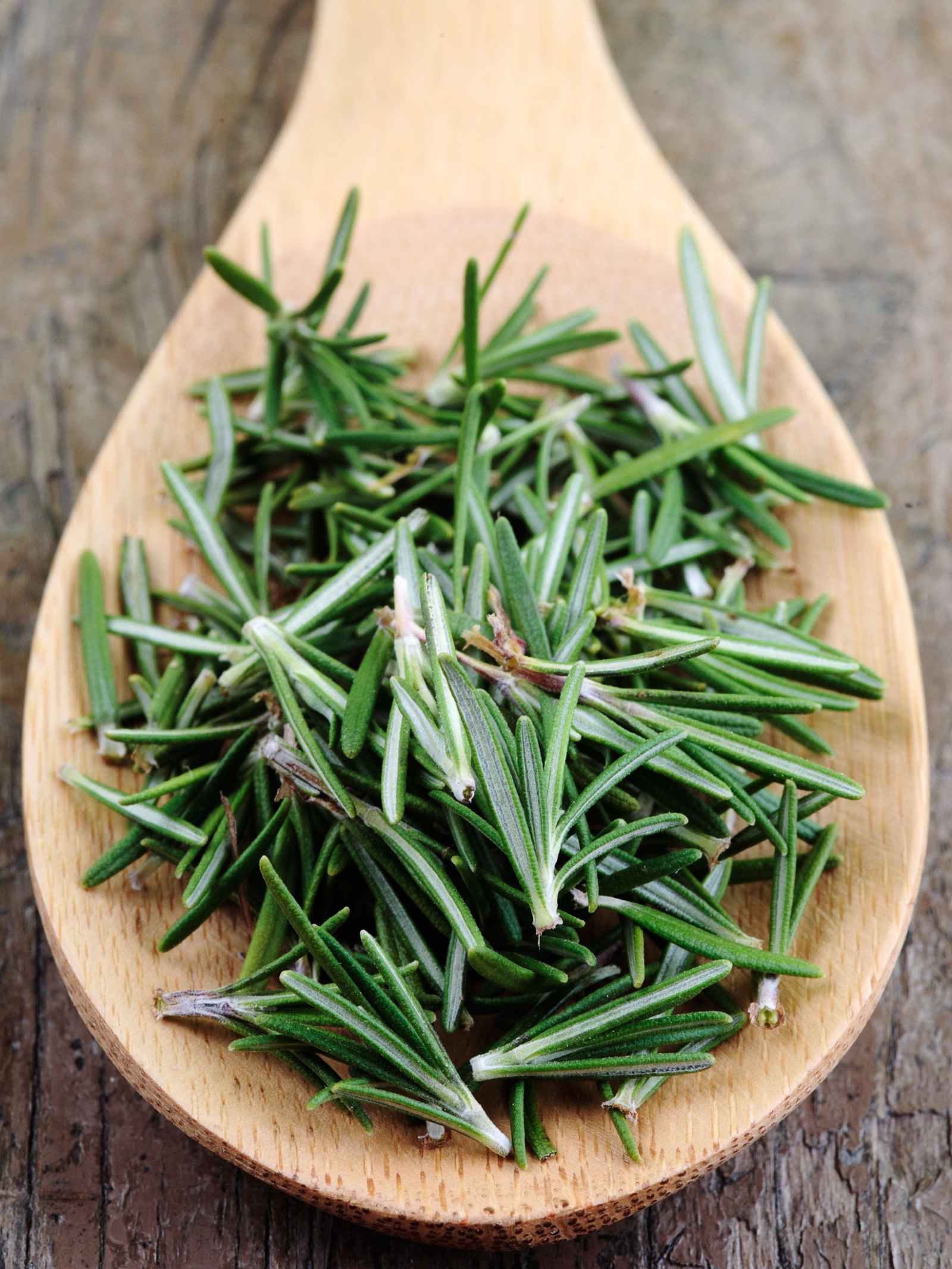 548f9a6182fee_-_rbk-10-spices-rosemary-s2