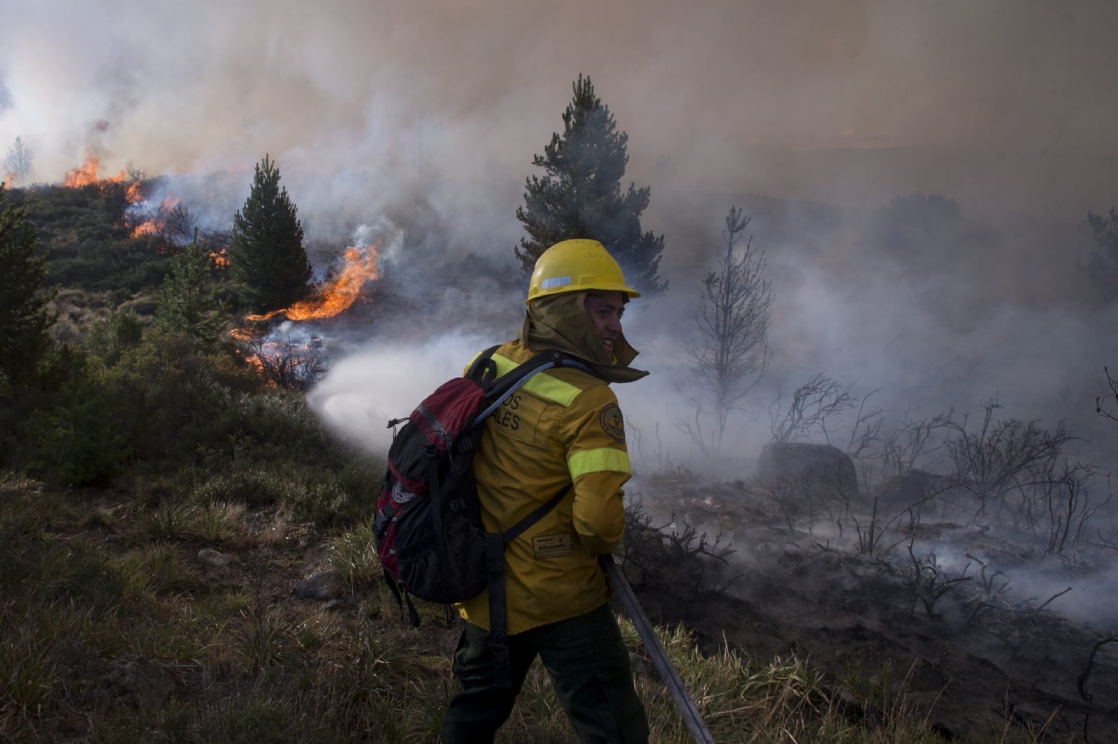 BCHE-Incendio-Forestal-Circunvalacion-004-scaled