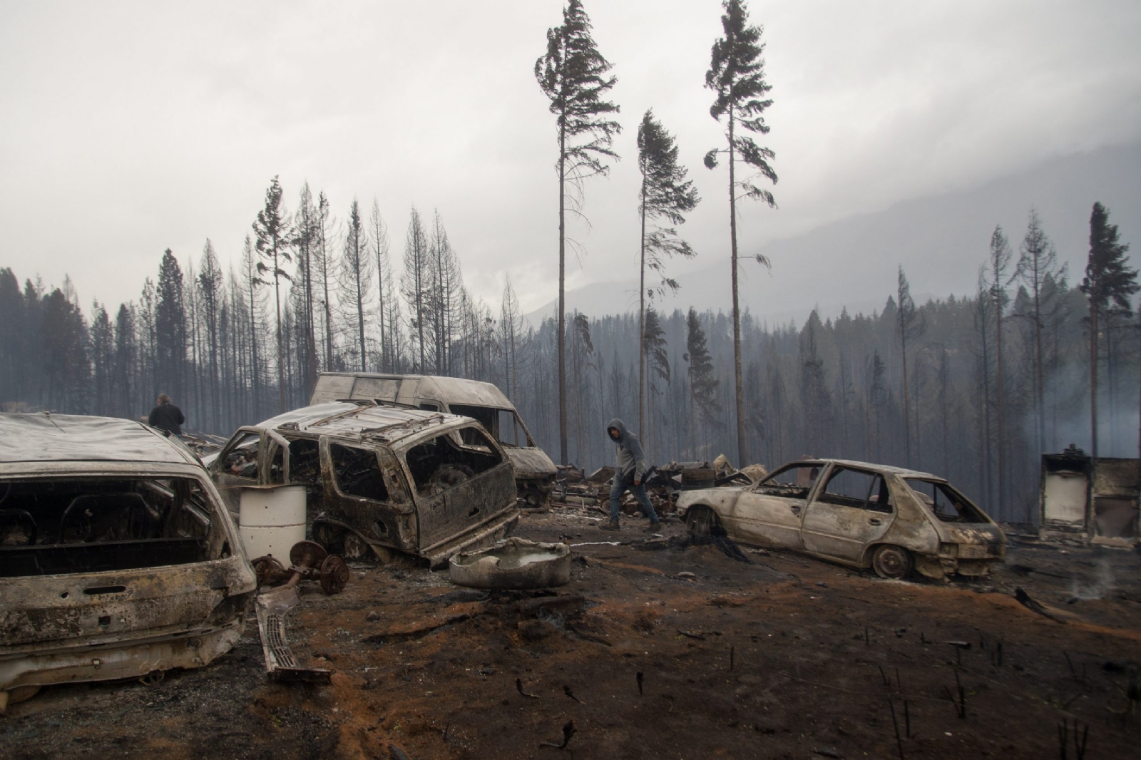 El-Hoyo-Incendio-forestal-004-scaled