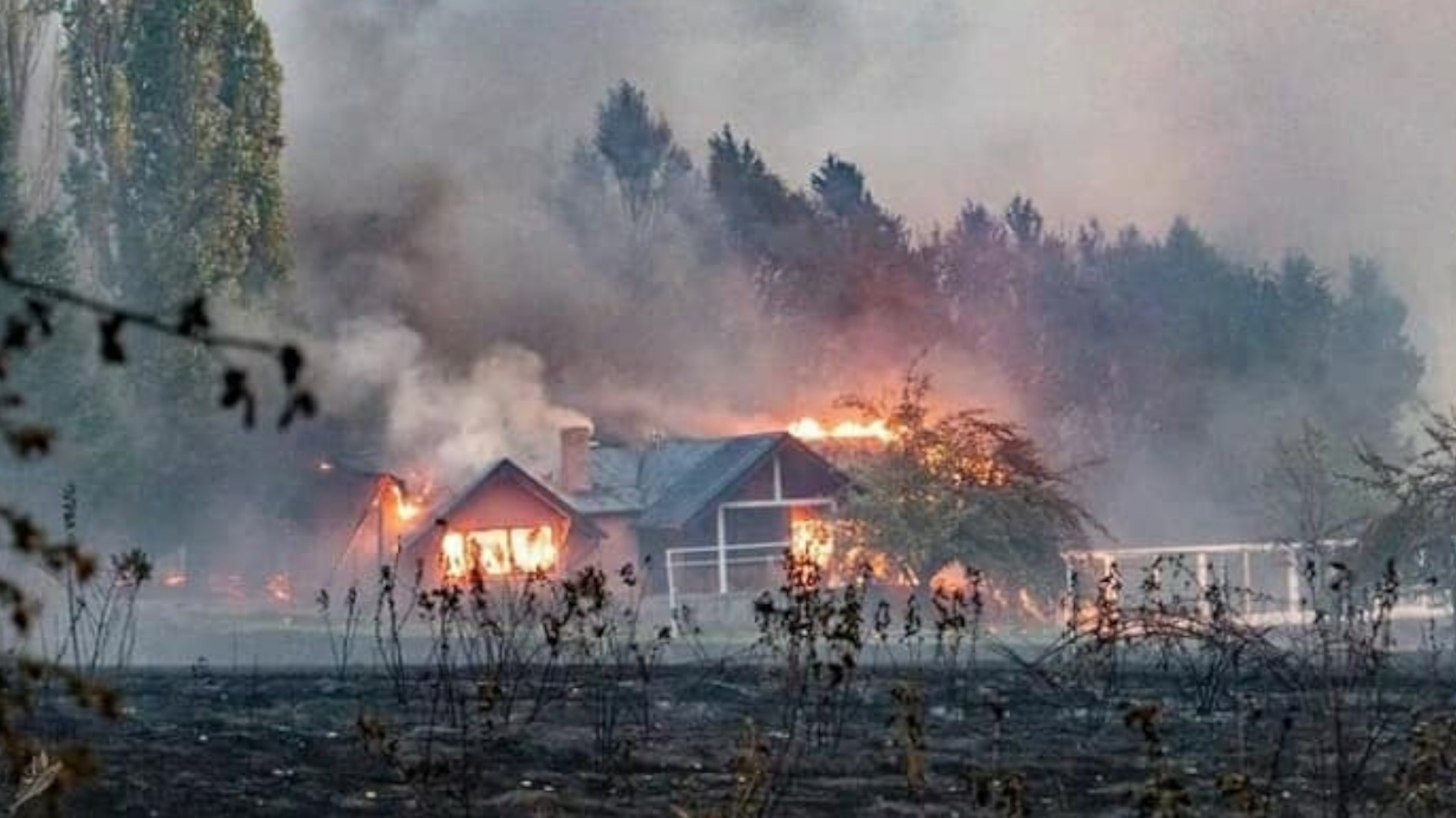 www.minutoneuquen.com incendios 1