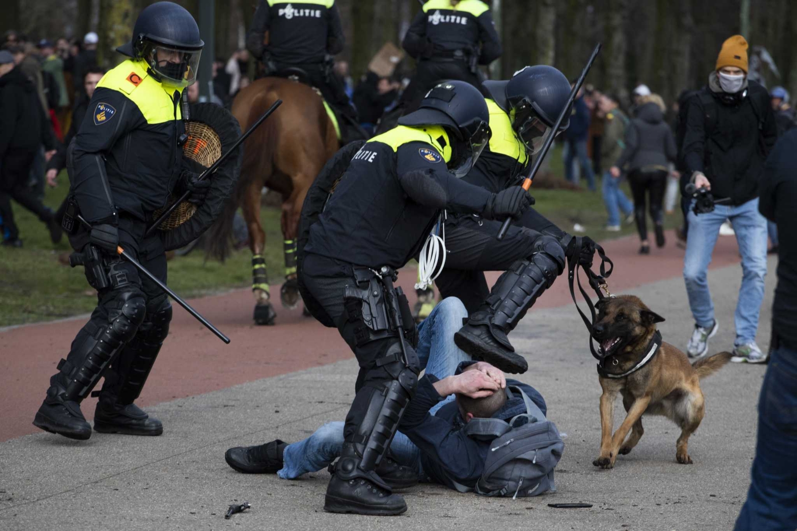 holanda 1