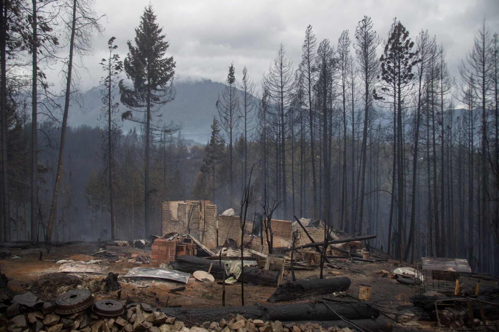 El-Hoyo-Incendio-forestal-003-scaled