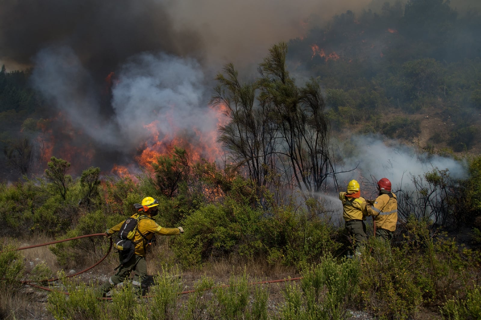 BCHE-Incendio-Cuesta-Ternero-003-2-1