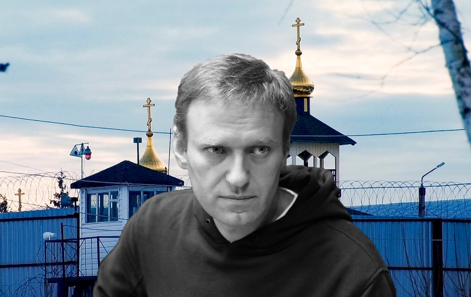 compo navalny 1