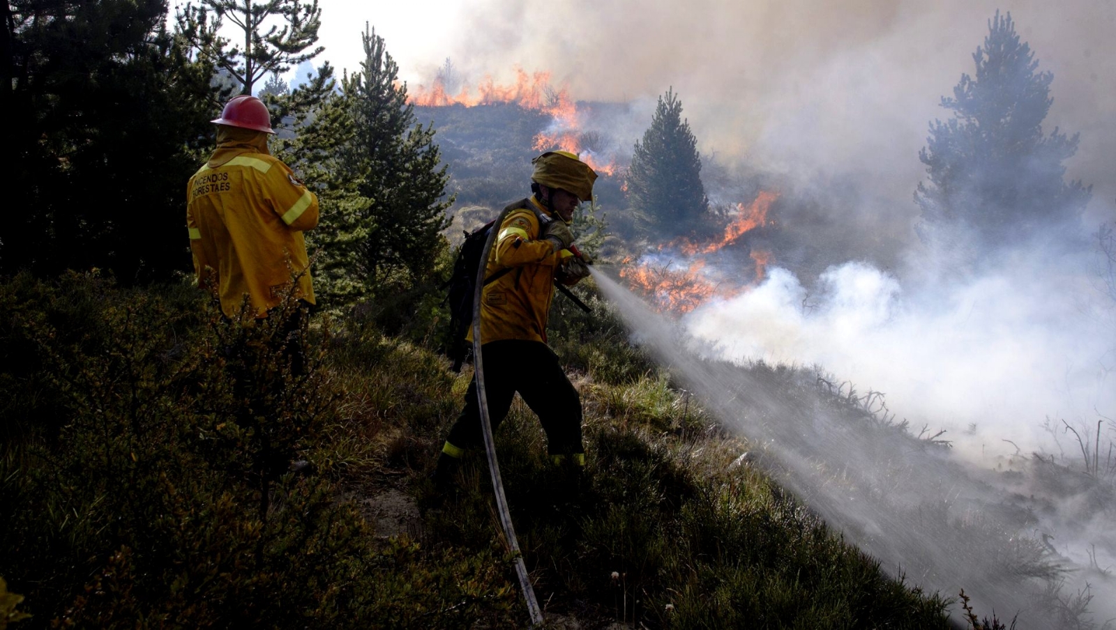 FUEGO-CHUBUT-RIO-NEGRO