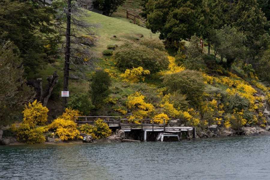 www.minutoneuquen.com muelles
