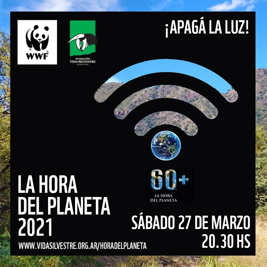 www.minutoneuquen.com hora del planeta