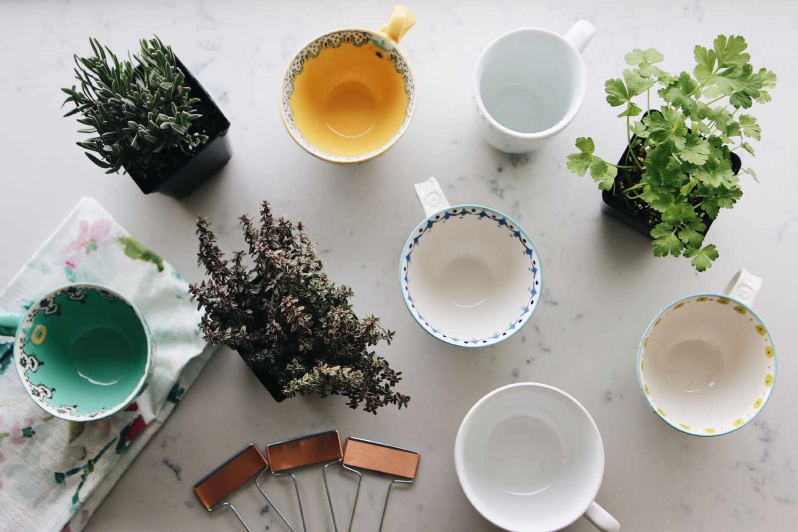 Diy-coffee-mug-herb-gardens-1