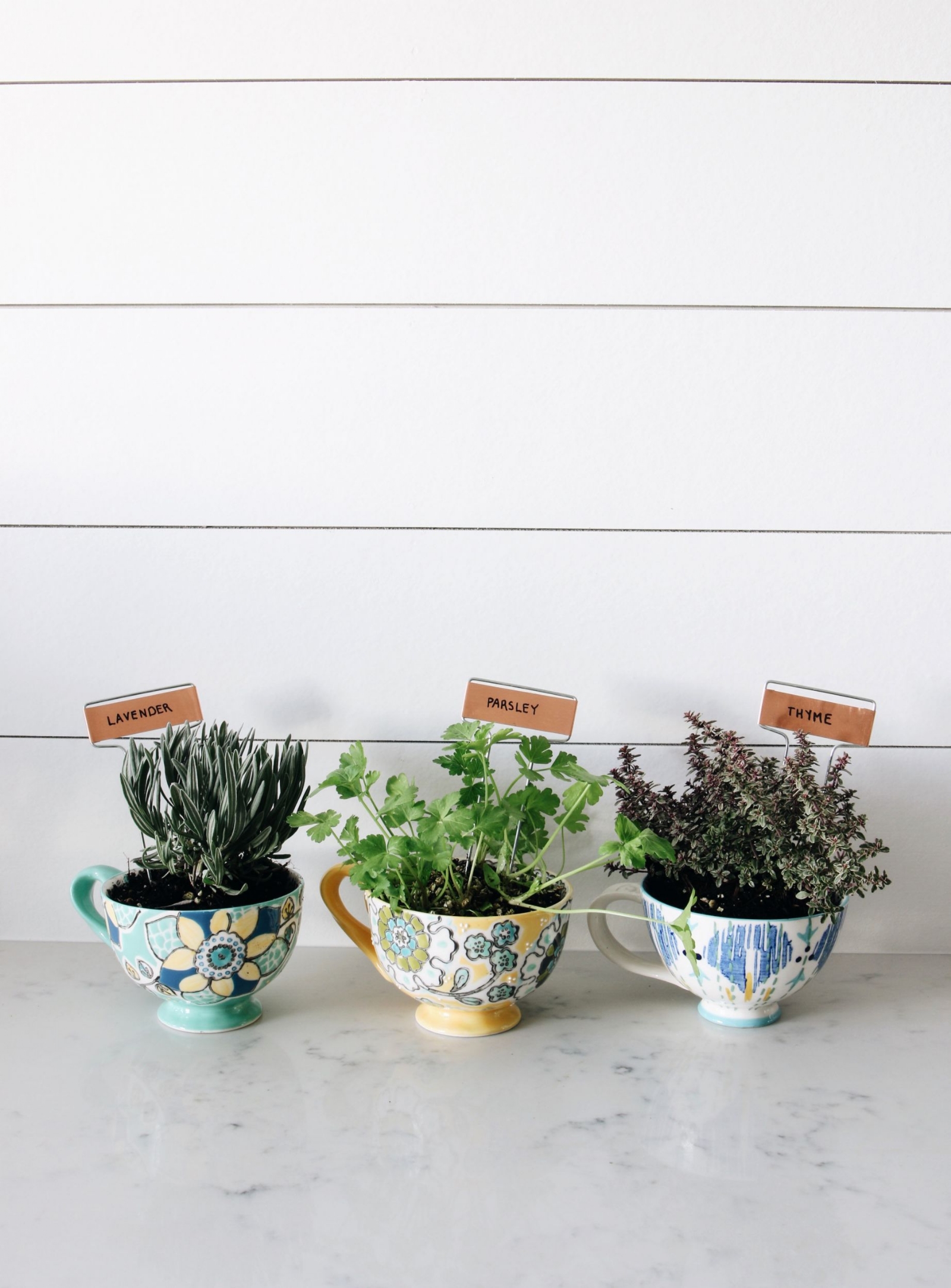Diy-coffee-mug-herb-gardens-the-inspired-room-blog