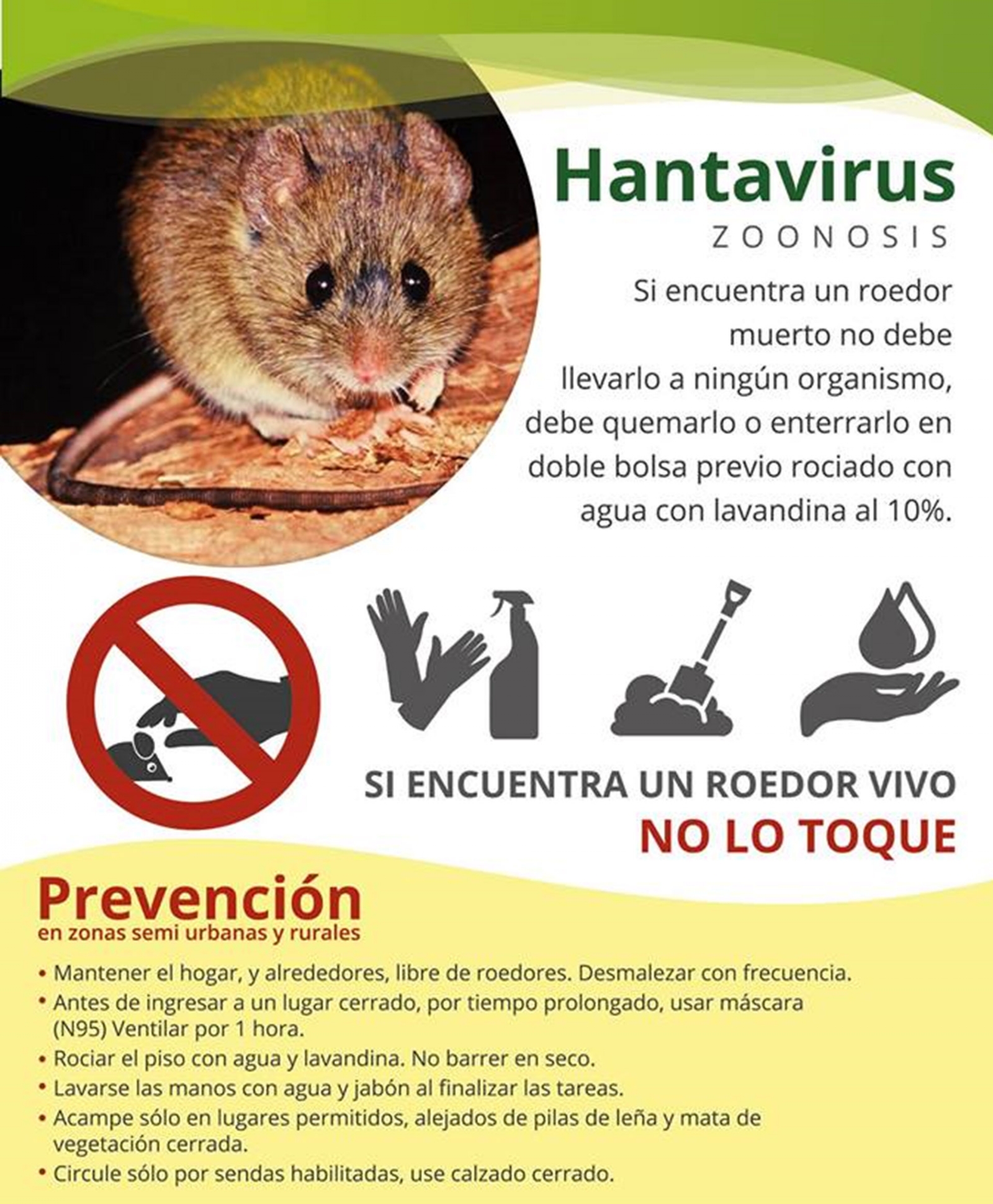 www.minutoneuquen.com hantavirus 1