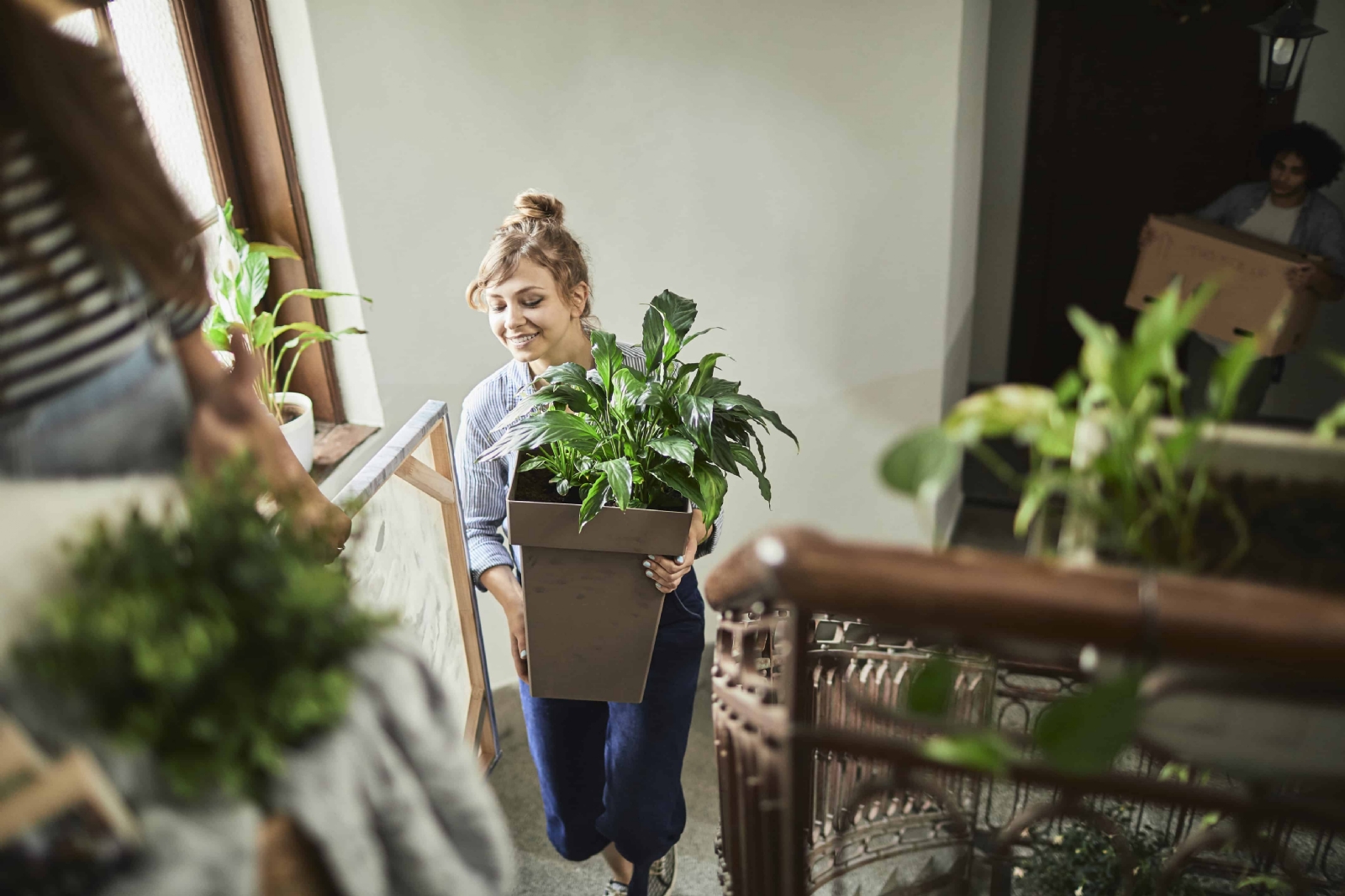 Plants-994655064-2