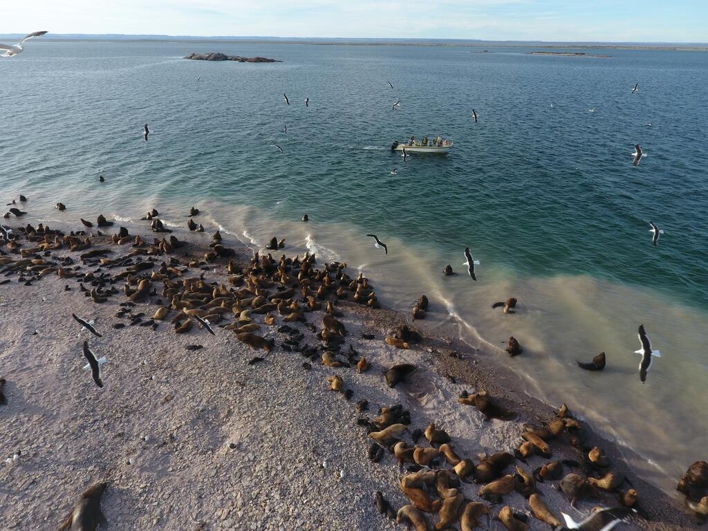 www.minutoneuquen.com bahía bustamente0