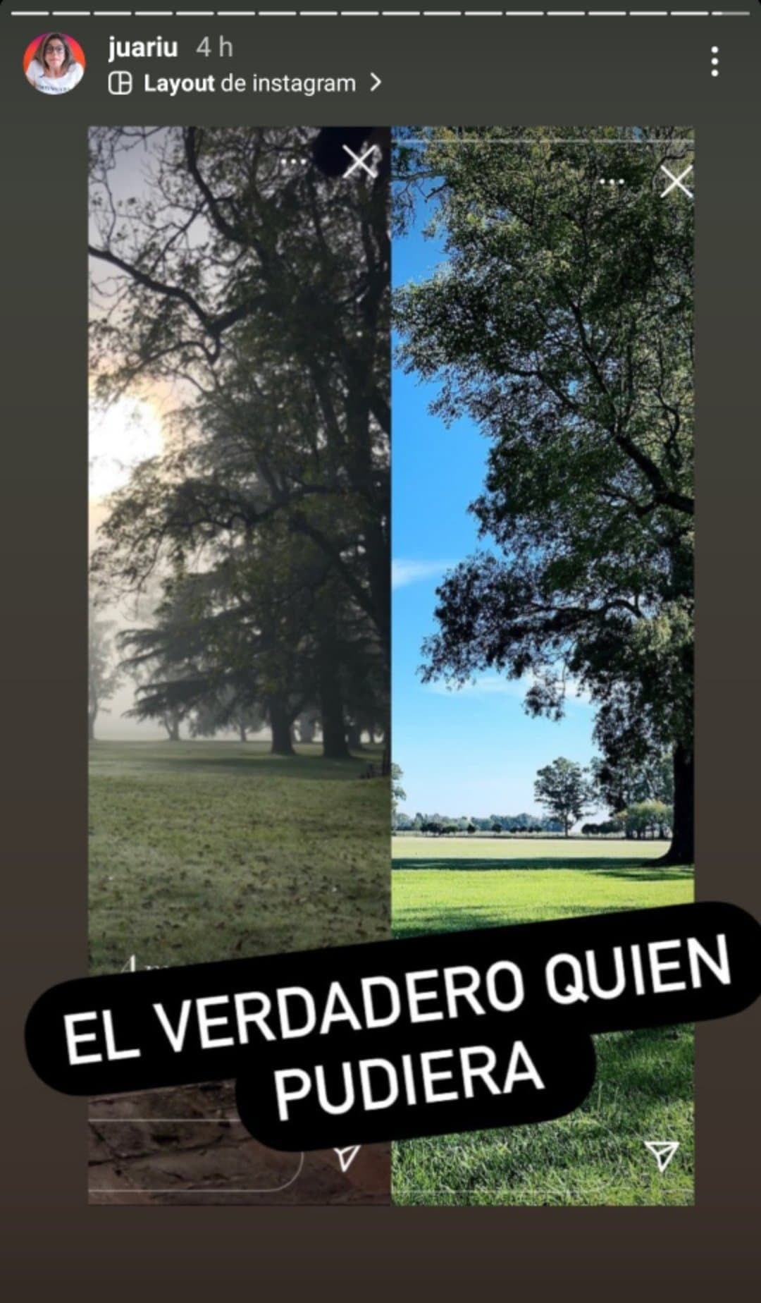 www.minutoneuquen.com betular2