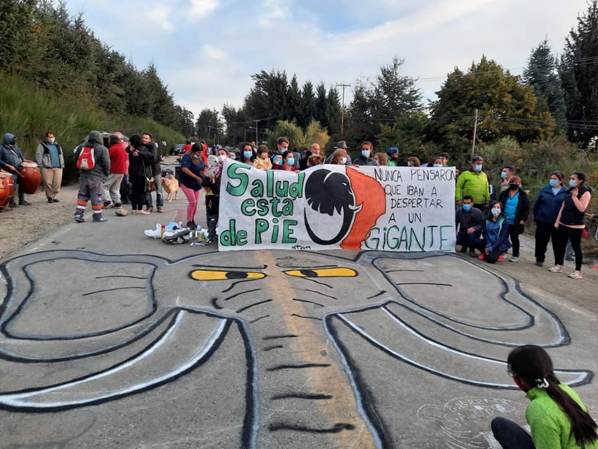 174251280_1319773795082635_2266686279107528909_n (1)