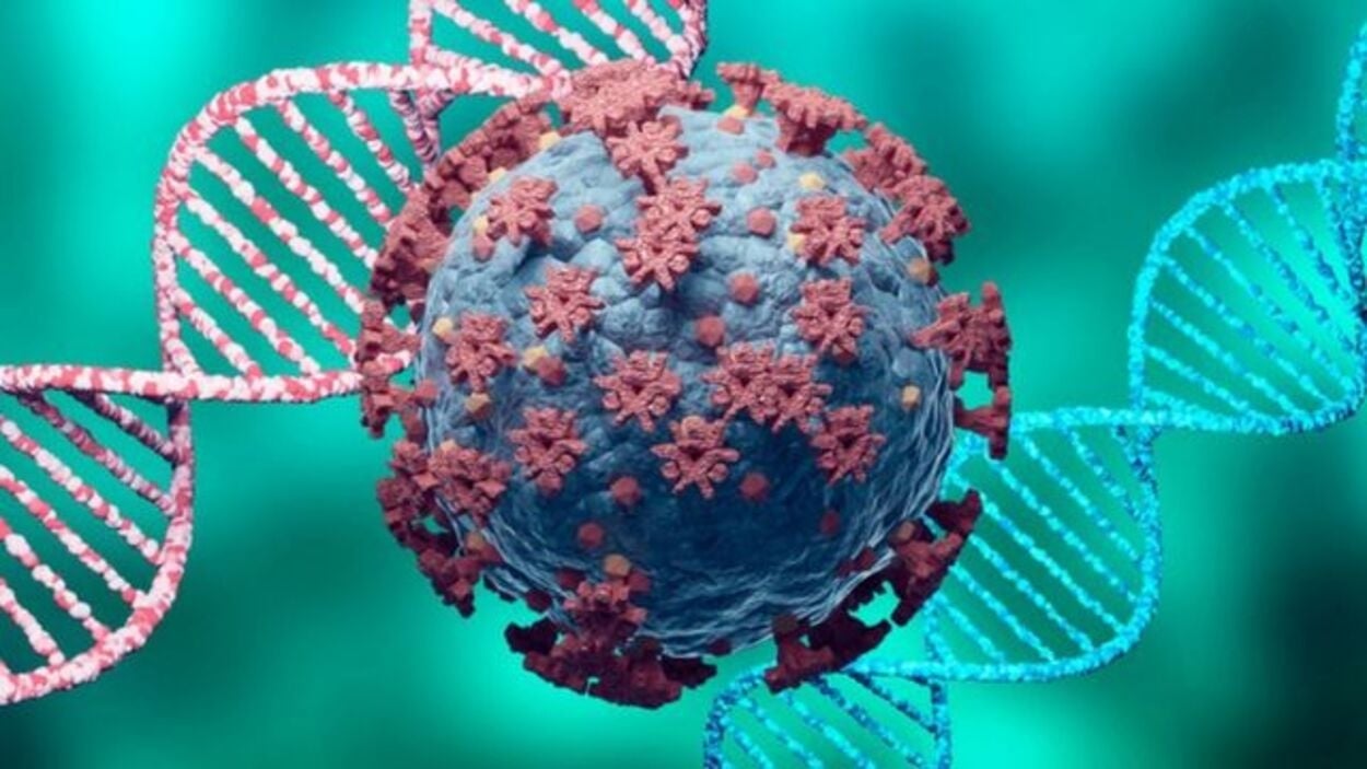 www.minutoneuquen.com coronavirus 11