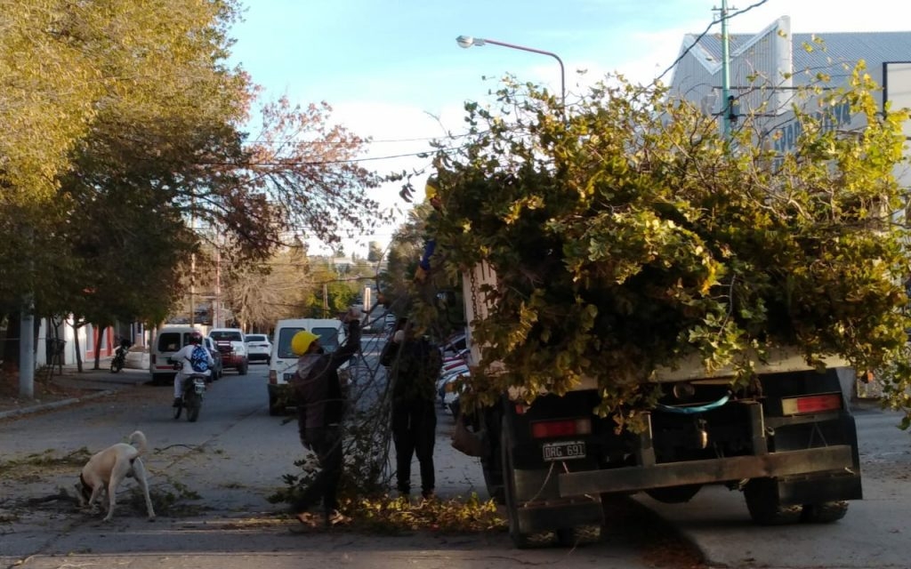 Primeros-trabajos-de-poda-de-cara-al-inicio-de-la-temporada-2-1024x640
